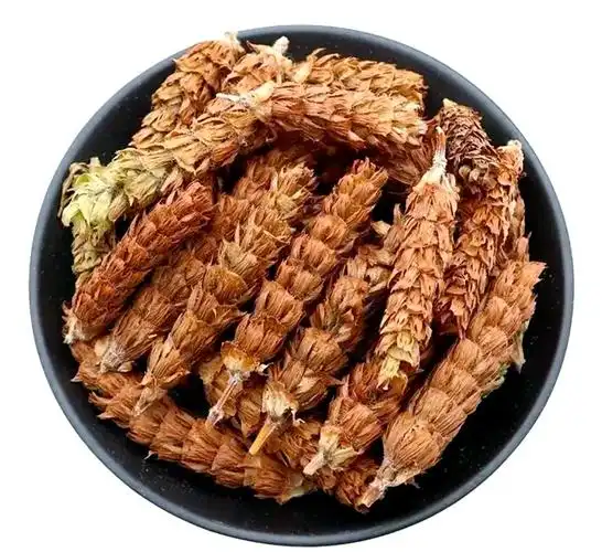 夏枯草