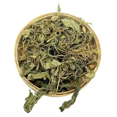 紫花地丁