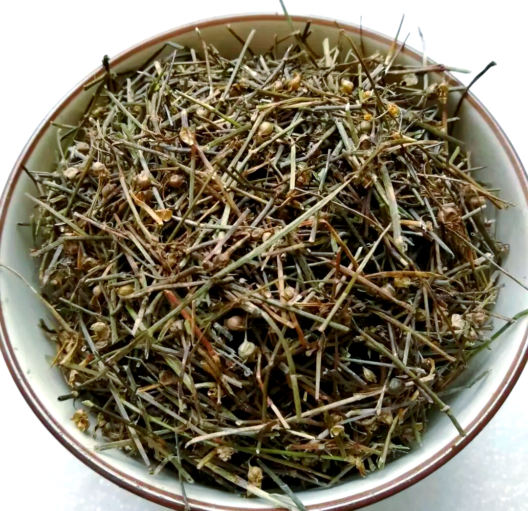 白花蛇舌草