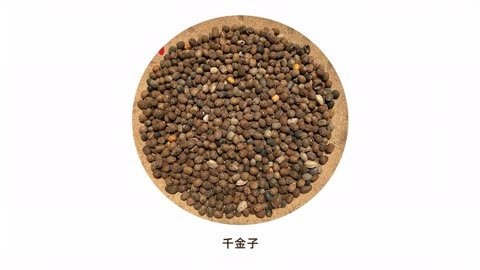 千金子