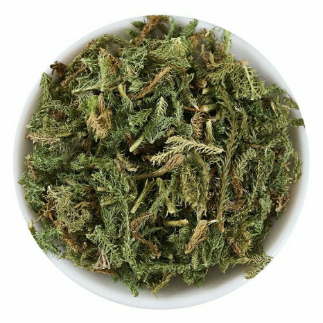 伸筋草